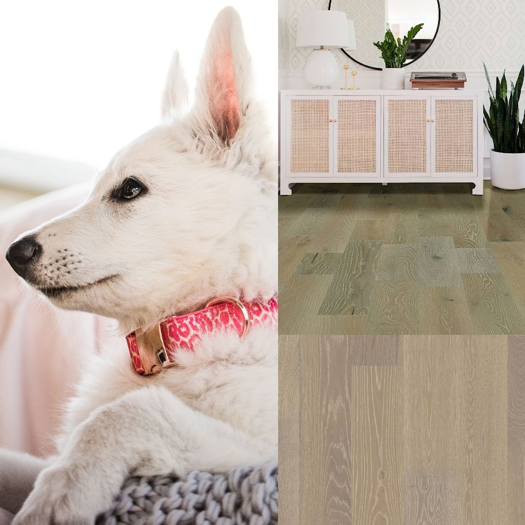 Pet Proof Flooring thumbnail